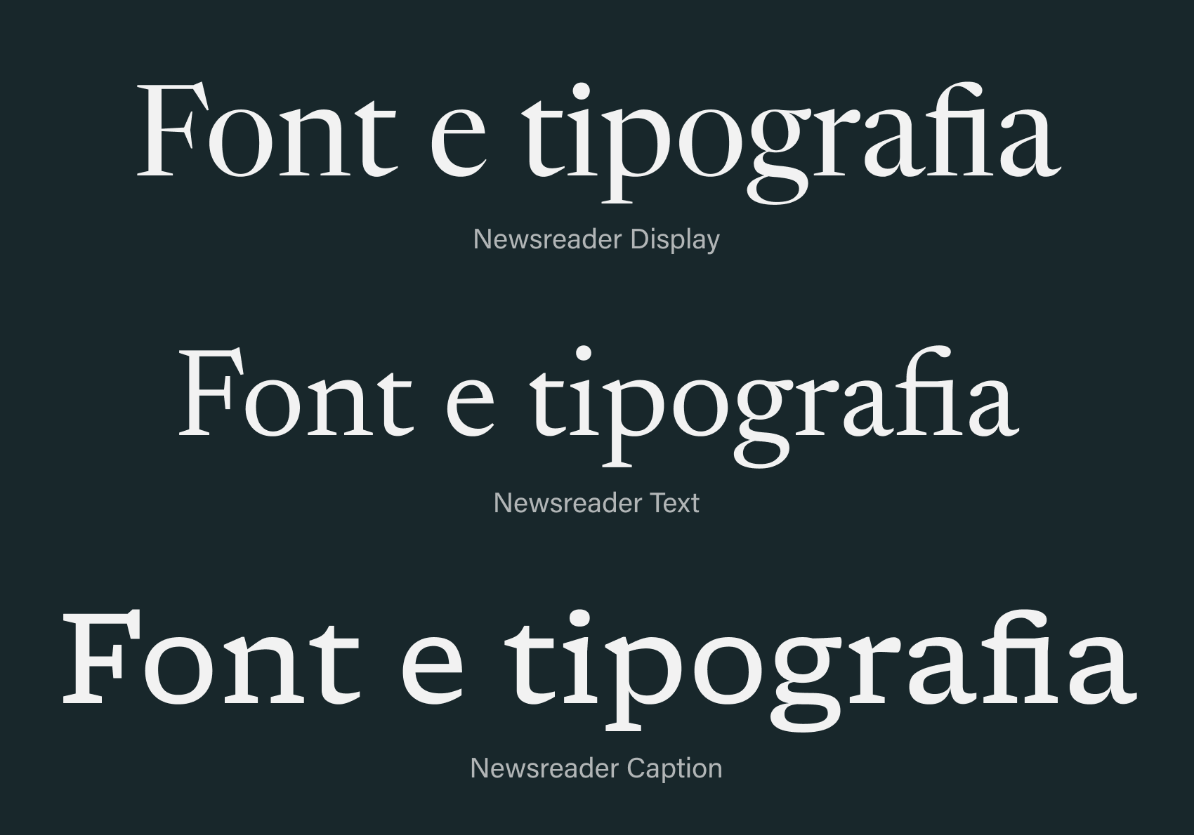 Il Newsreader di Production Type è un esempio di un’ampia famiglia con tre destinazioni d’uso: display, text e caption